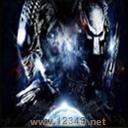 VSV4.6.2