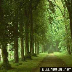 ��ð��2��������֮�ã�
