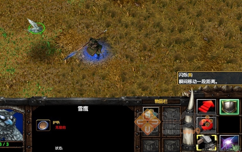 10.jpg