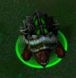 .jpg