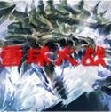 ѩ���ս1.3 �ر��