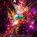 սv1.2